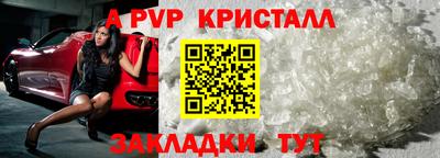 гашик Кингисепп