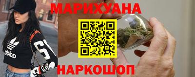 гашик Кингисепп