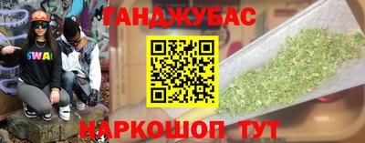 гашик Кингисепп
