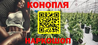 гашик Кингисепп