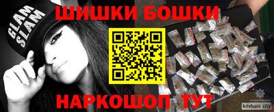 гашик Кингисепп