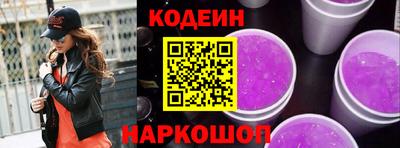 гашик Кингисепп