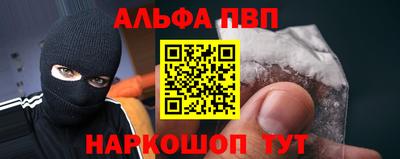 гашик Кингисепп