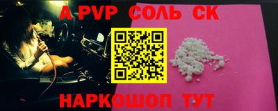 гашик Кингисепп
