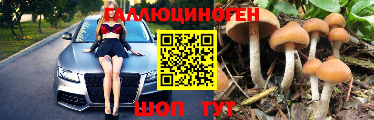 Галлюциногенные грибы Psilocybe  Вход с VPN  Крымск  Псилоцибиновые грибы ЛСД 